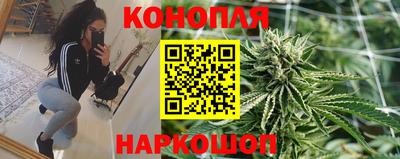 сатива Апшеронск