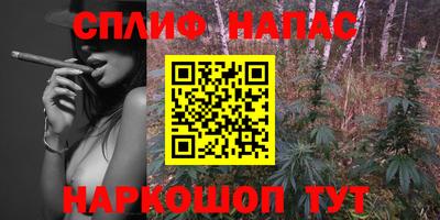сатива Апшеронск