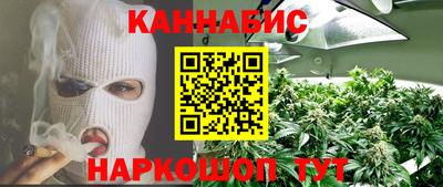 сатива Апшеронск