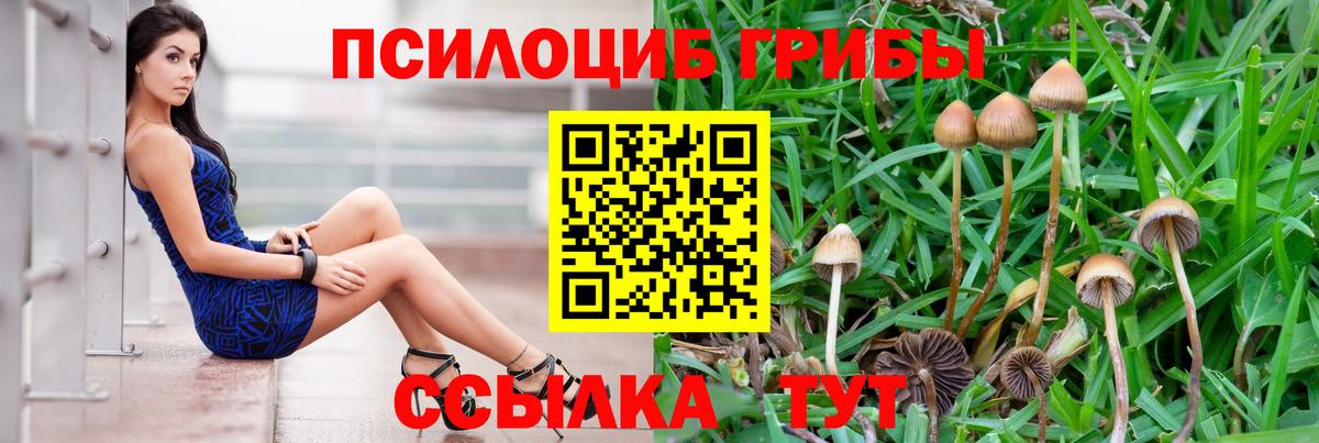 Псилоцибиновые грибы мухоморы  Вход с VPN  Боровичи 