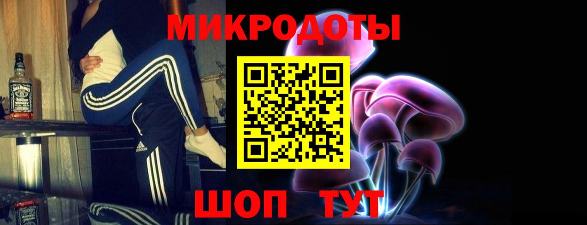Галлюциногенные грибы Cubensis Боровичи